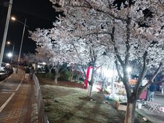 -南京金陵饭店