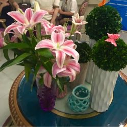 -法国安杰玛SPA会所