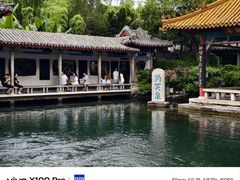 -趵突泉景区