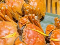 -成隆行·蟹王府(淮海店)