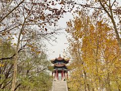 -禹城市禹王亭博物馆