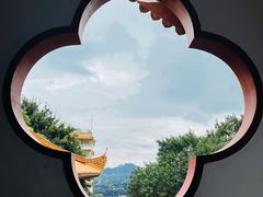 -深圳仙湖植物园