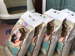 -派联宠物医院·24h·CT·异宠