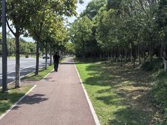 -狼山风景名胜区