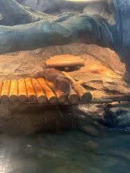 -Zoolung Zoolung动物主题公园(海信广场店)