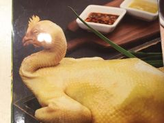 湛江白切鸡-锦粤宫·精致粤菜(深圳北站店)