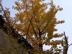 -品腐记·豆腐王朝(老门东总店)