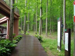 -黄海国家森林公园