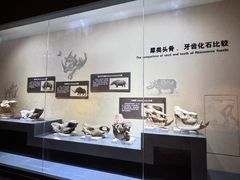 -大庆市博物馆