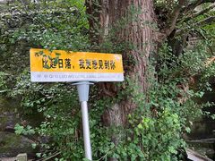 -大慈岩风景区