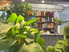 -洞庭家宴·头牌甲鱼(广渠门店)