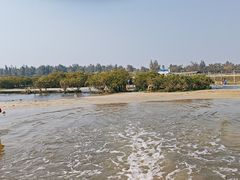 -北海金海湾红树林生态旅游区