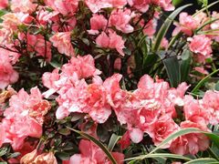 -写庭·鱼鲜川菜·宴请(铁像寺水街店)