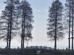 -东湖听涛景区