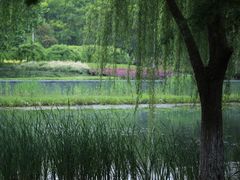 -白塘生态植物园