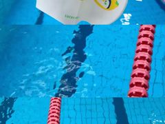 -重庆市奥林匹克体育中心-游泳跳水馆