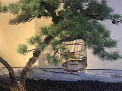 -小厨娘淮扬菜(六合欢乐港店)