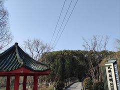 -九科绿洲