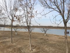 -西青郊野公园