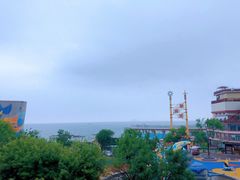 -海合安青岛极地海洋公园