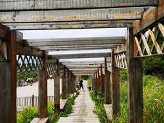 -白草畔自然风景区