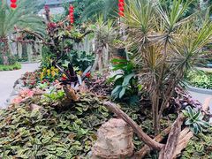 -北京植物园-展览温室
