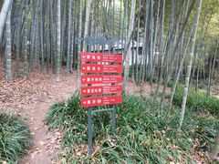 -杭州黄龙洞