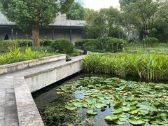 -养云安缦吧THE BAR