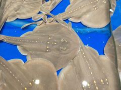 -三亚火车头万人海鲜广场