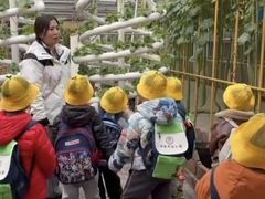 -北京市邮政管理局海慧寺幼儿园