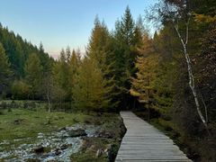 -苏木山森林公园