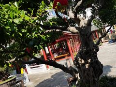 -香麒园·过桥米线·南湖雅宴