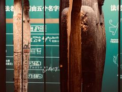 -遇见博物馆(遇见海洋沉浸式奇幻光影展)