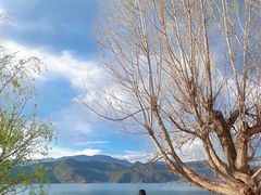 -泸沽湖国家级风景名胜区走婚桥