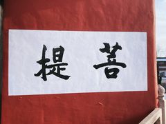 -洛阳白马寺