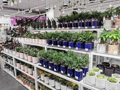 -KKV(重庆东原悦荟主力店)