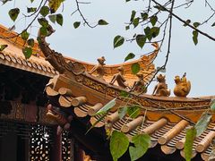 -深圳仙湖植物园