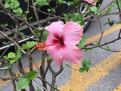 -江南大学附属医院(北院区)