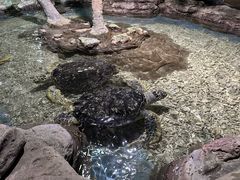 -杭州长乔极地海洋公园