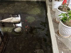 -不止轰趴独栋别墅户外烧烤(颐西庄园店)