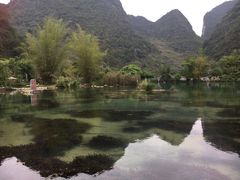 -靖西鹅泉风景区