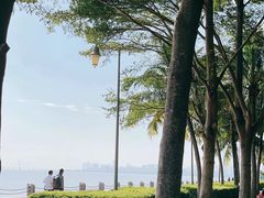 -深圳湾公园(南山区)