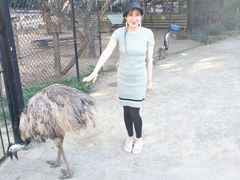 -可伦宾野生动物保护区