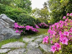 -桃花岛景观公园