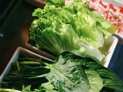 -九鼎轩脆毛肚火锅(南京东路店)