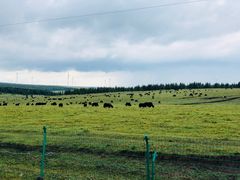 -塞罕坝国家级自然保护区