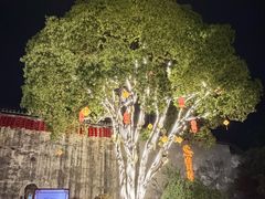 -黎阳老街