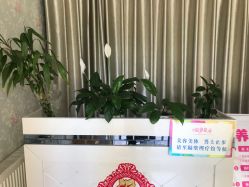 -华脉瘦身