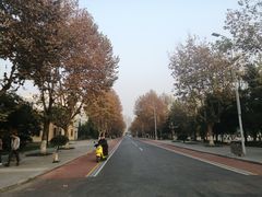 -西南交通大学(九里校区)