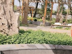 -稻香湖景欢乐岛温泉城堡